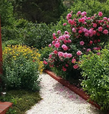 Bougainvilliers Villa *