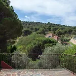Bougainvilliers فيلة *
