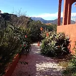 Bougainvilliers *