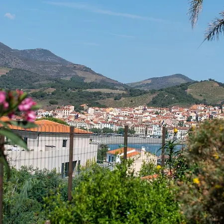 Bougainvilliers * Banyuls-sur-Mer