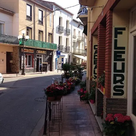 Bougainvilliers *