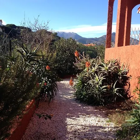 Bougainvilliers *