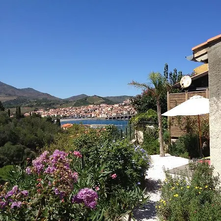 Bougainvilliers * Banyuls-sur-Mer