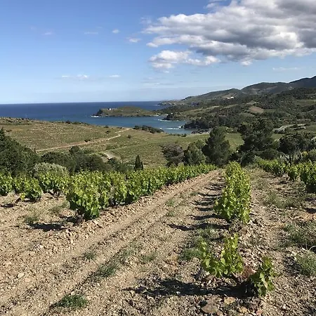 Bougainvilliers Villa Banyuls-sur-Mer