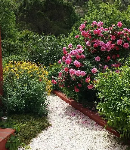 Bougainvilliers Вилла *